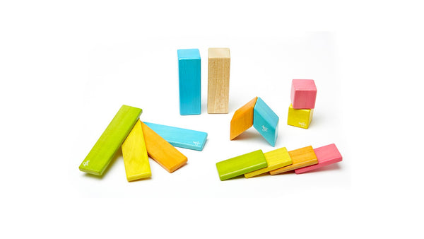 Magnetic Wooden Block Set
