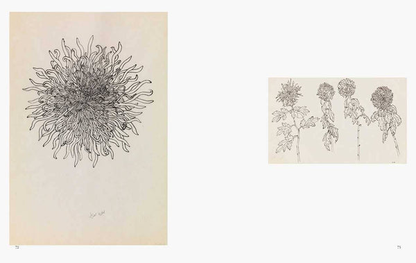 Ruth Asawa: All Is Possible by Ruth Asawa