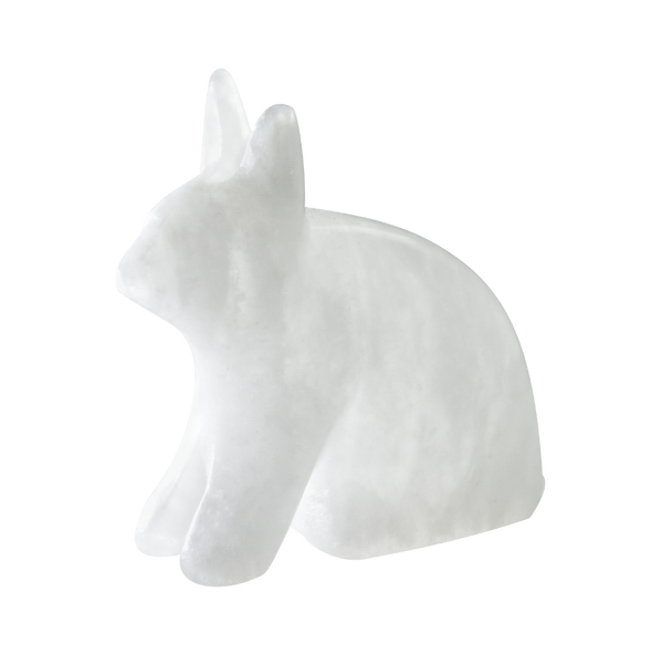 Arctic Hare Alabaster carving kit