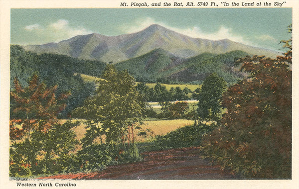 Greeting Card, Mt. Pisgah