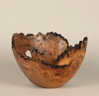 Gala 2025 Buy it Now 9: Steve Noggle