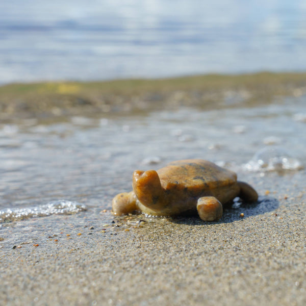 Turtle Soapstone Carving Kit