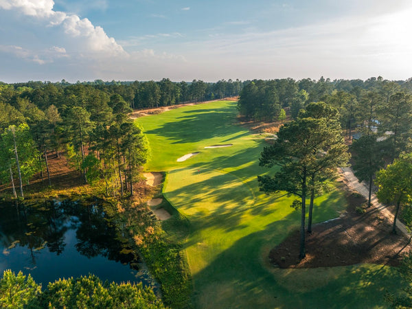 Gala 2025 Auction Lot 13: The Dormie Network