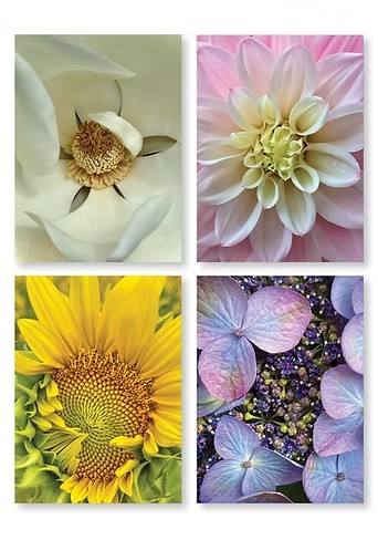Notecards by Marianne Weaver