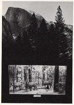 Jerry Uelsmann Postcard - Untitled 1973